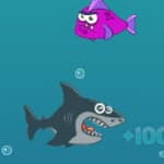 Mad Shark